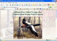 Ivory-billed Woodpecker Conservation Stamp Print Program