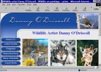 Wildlife artist Danney O'Driscoll has superb wildlife art!