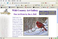 Wildlife and Country art